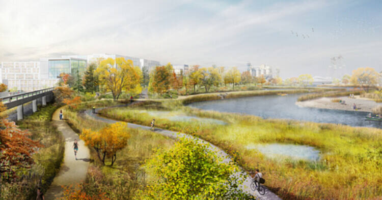 如何理解并应用建筑中的再野生化？ - 4 的图像 9