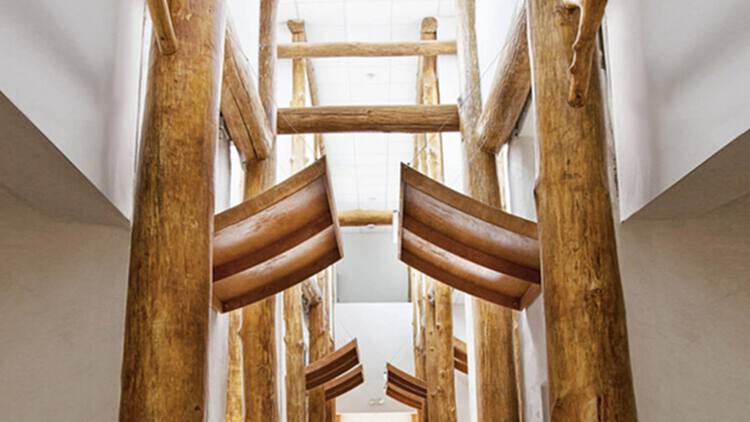 拓展天然木材的建筑前景 - 2 的图像 11