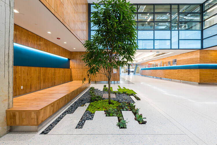 Terrazzo & Marble：水磨石的可持续性 - 1 的图像 25