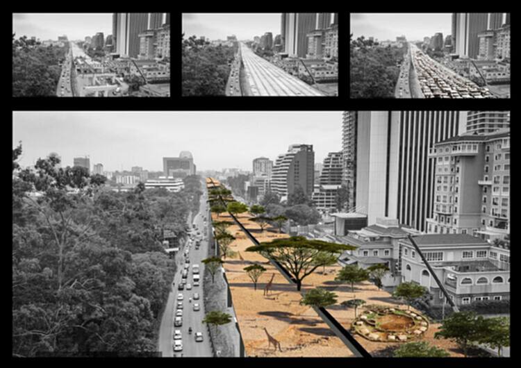 如何理解并应用建筑中的再野生化？ - 9 的图像 9