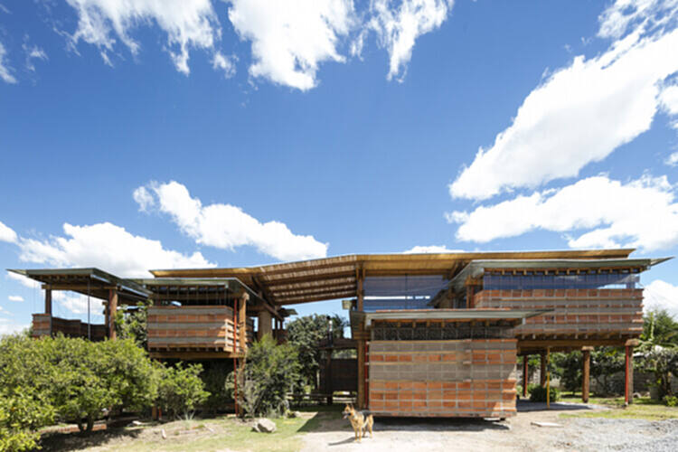 热带房屋：在自然与人造环境之间创造对话 - 23 的图像 43