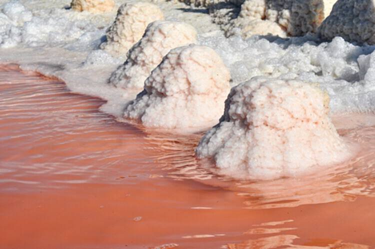 盐能成为未来的材料吗？结晶盐面板的创新 - 10 的图像 21