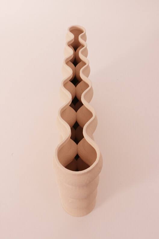 对话 Arta Yazdanseta：人类健康与环境健康的相互关联性 - 11 的图像 14