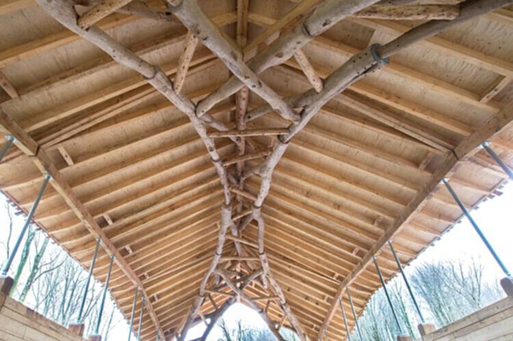 拓展天然木材的建筑前景 - 8 的图像 11