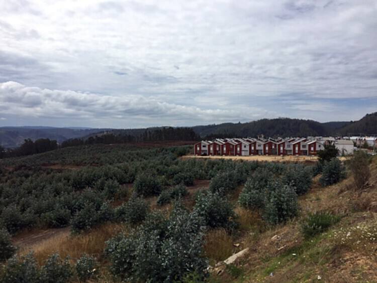 专访 Alejandro Aravena ,探讨渐进式解决方案与零净碳排放混凝土 - 31 的图像 34