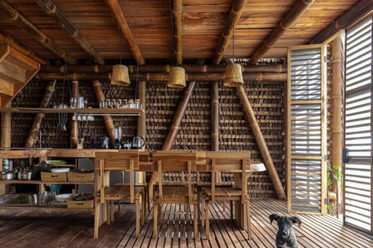 热带房屋：在自然与人造环境之间创造对话 - 29 的图像 43