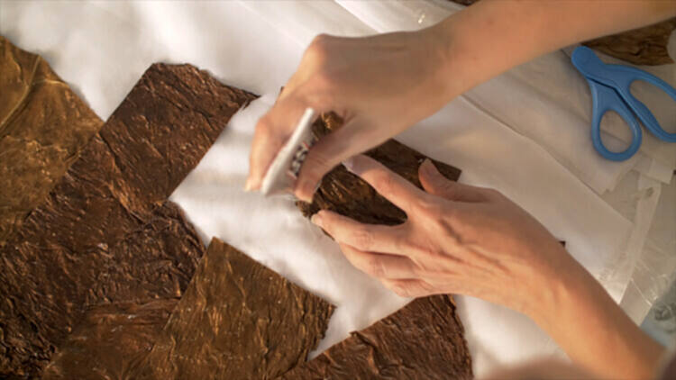 2020威尼斯双年展多米尼加馆，重新认识与自然的联系 - 8 的图像 10