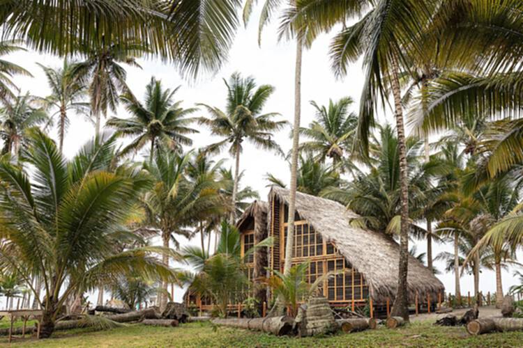 热带房屋：在自然与人造环境之间创造对话 - 28 的图像 43