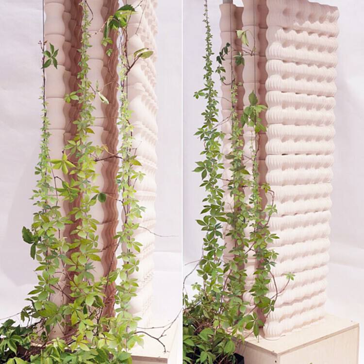 对话 Arta Yazdanseta：人类健康与环境健康的相互关联性 - 8 的图像 14