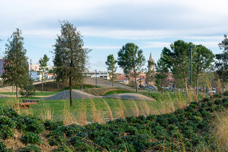 城市公园,塑造生物多样性 - 8 的图像 9