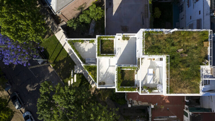 将自然融入建筑材料：探索 Estudio Planta 的建筑作品 - 7 的图像 10