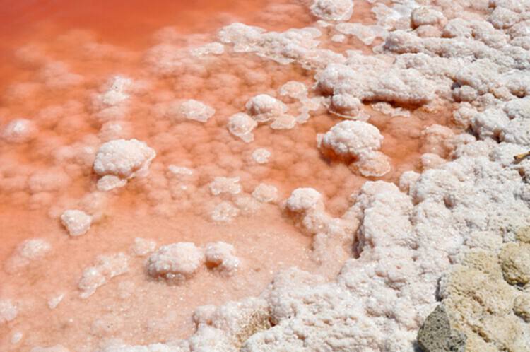 盐能成为未来的材料吗？结晶盐面板的创新 - 2 的图像 21