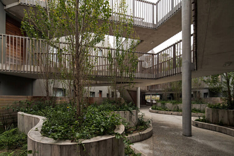 将自然融入建筑材料：探索 Estudio Planta 的建筑作品 - 2 的图像 10