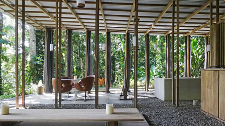 热带房屋：在自然与人造环境之间创造对话 - 21 的图像 43