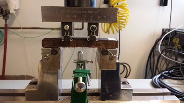 Willow Technologies 新材料研究：农副产品制作而成的建筑材料 - 12 的图像 14