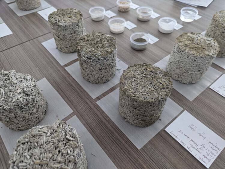 对话 Arta Yazdanseta：人类健康与环境健康的相互关联性 - 9 的图像 14