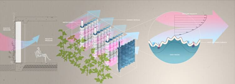 对话 Arta Yazdanseta：人类健康与环境健康的相互关联性 - 13 的图像 14