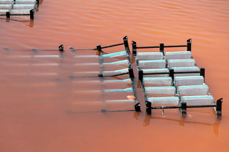 盐能成为未来的材料吗？结晶盐面板的创新 - 3 的图像 21