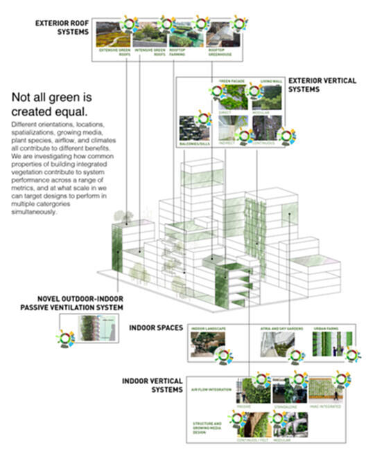 建筑热量:超越漂绿,探究与植物共生的价值 - 3 的图像 5