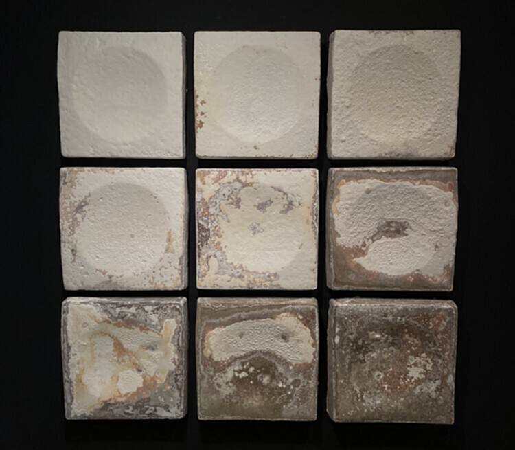 从菌丝砌块到净水瓷砖，10 家初创公司推出的创新可持续建筑材料 - 5 的图像 12