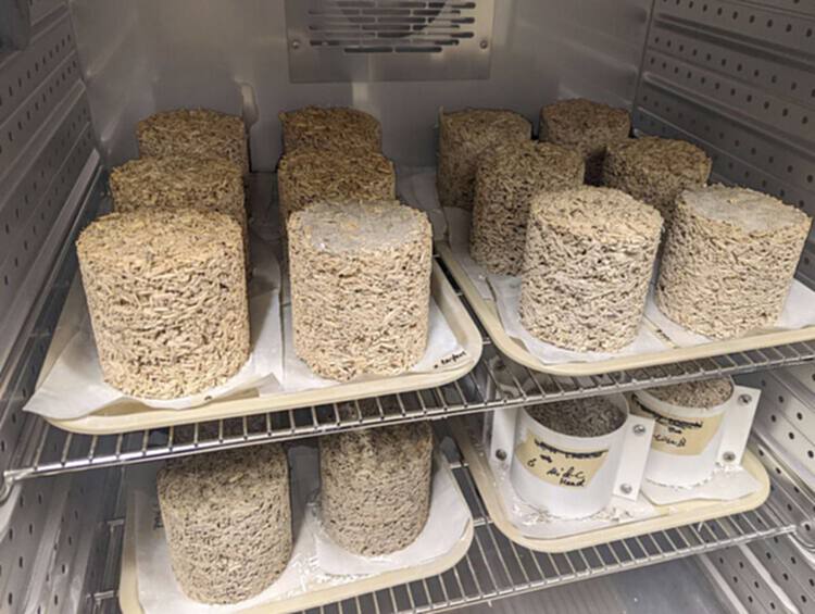 对话 Arta Yazdanseta：人类健康与环境健康的相互关联性 - 5 的图像 14