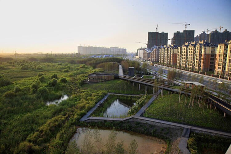 建筑和城市规划能够对抗气候变化吗? - 12 的图像 30