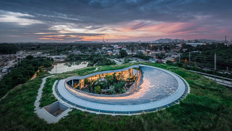 如何理解并应用建筑中的再野生化？ - 5 的图像 9