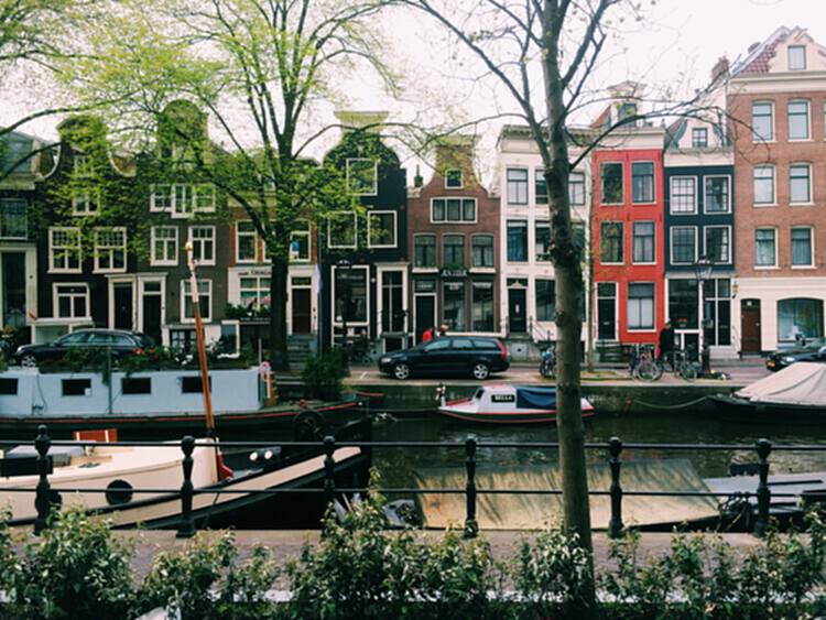 阿姆斯特丹如何使用"甜甜圈经济学模式"，为人与环境制定平衡战略 - 2 的图像 10