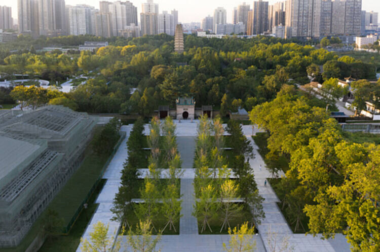 建筑和城市规划能够对抗气候变化吗? - 6 的图像 30