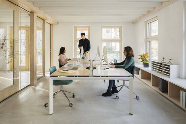 对话 Arta Yazdanseta：人类健康与环境健康的相互关联性 - 12 的图像 14