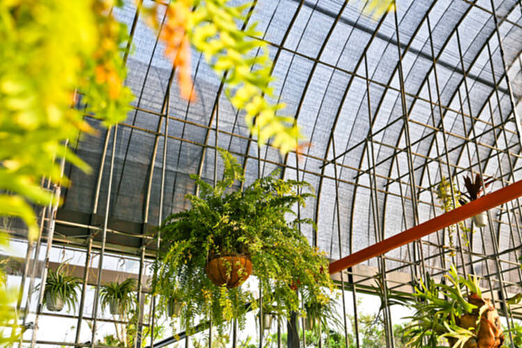 如何设计温室？ - 11 的图像 22