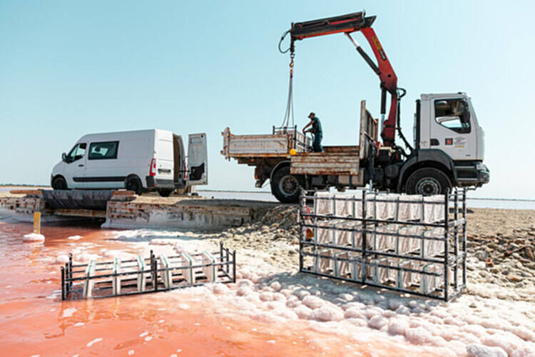 盐能成为未来的材料吗？结晶盐面板的创新 - 16 的图像 21