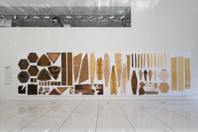 未来材料：生物复合材料建筑 - 5 的图像 10