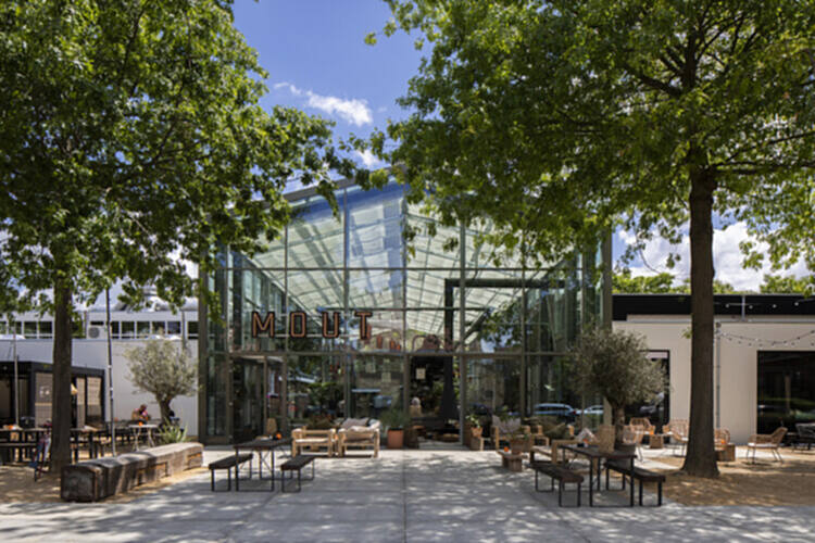 如何利用玻璃天花板改善内外环境？ - 5 的图像 15