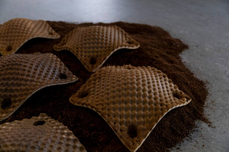 Willow Technologies 新材料研究：农副产品制作而成的建筑材料 - 2 的图像 14