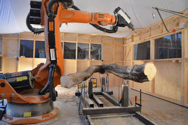 拓展天然木材的建筑前景 - 6 的图像 11