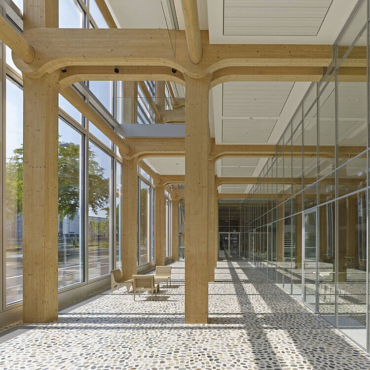 什么是建筑领域的生物材料？ - 3 的图像 18