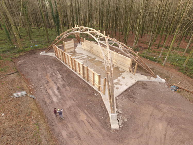 拓展天然木材的建筑前景 - 4 的图像 11