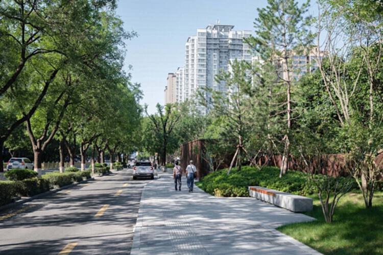 如果让城市凉下来? - 9 的图像 12