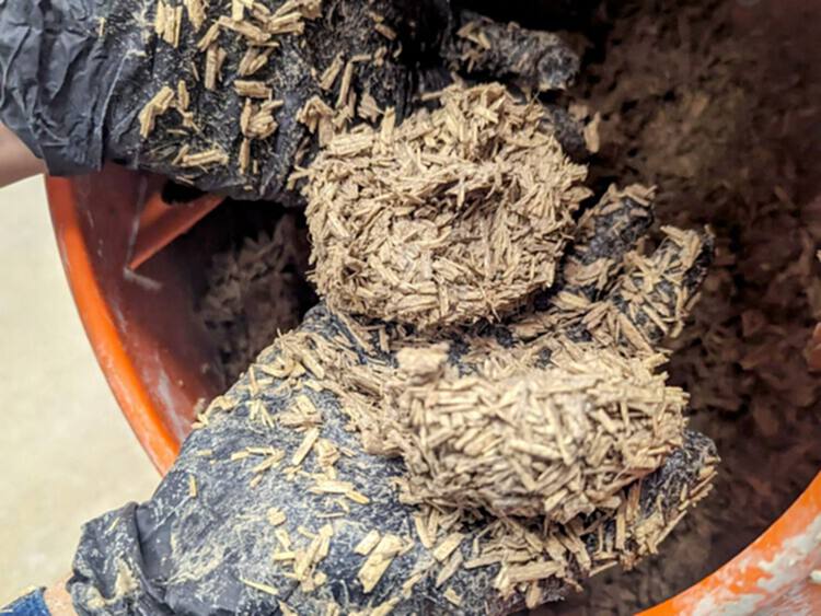 对话 Arta Yazdanseta：人类健康与环境健康的相互关联性 - 3 的图像 14