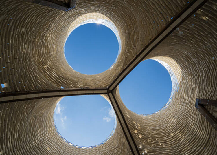 未来材料：生物复合材料建筑 - 2 的图像 10