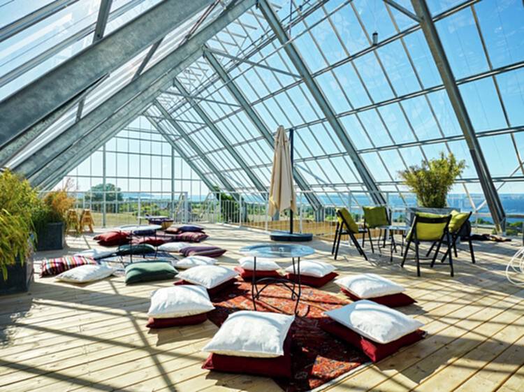 如何设计温室？ - 15 的图像 22