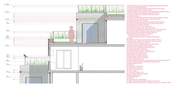 将自然融入建筑材料：探索 Estudio Planta 的建筑作品 - 9 的图像 10
