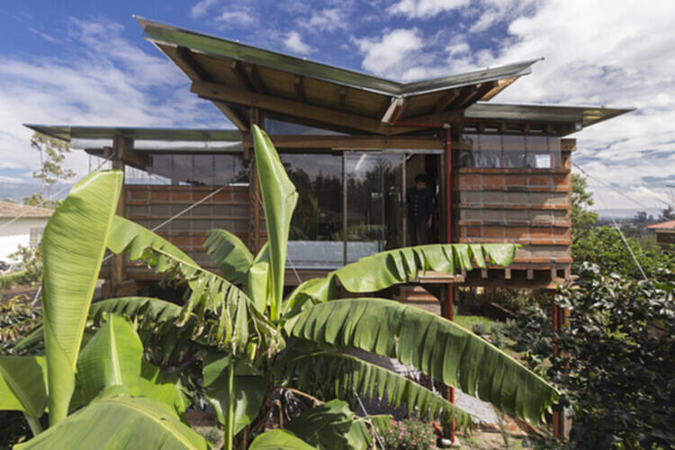 热带房屋：在自然与人造环境之间创造对话 - 3 的图像 43